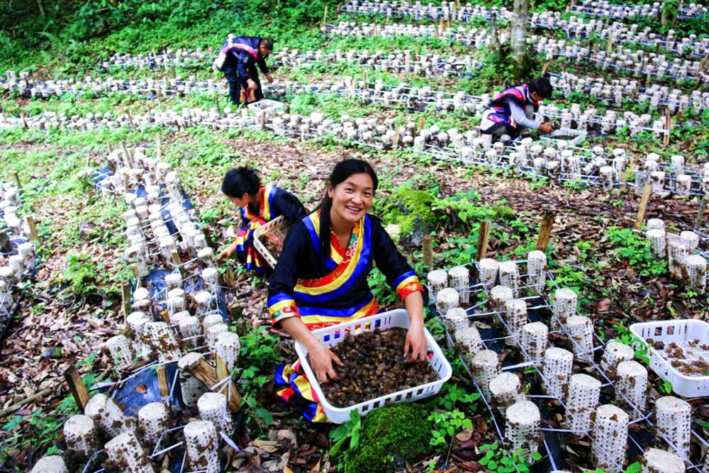 喜獲豐收展笑顏。次仁央宗攝