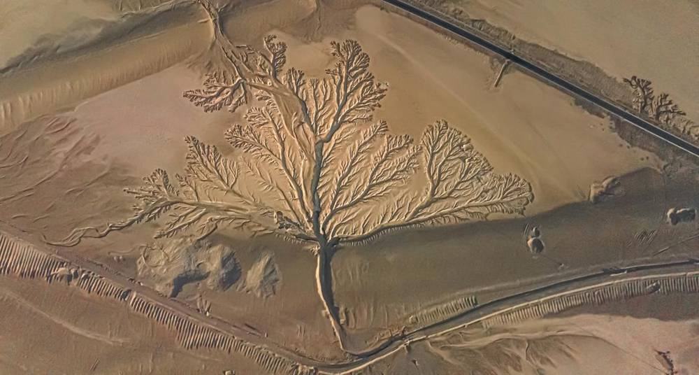 壯觀的“大地之樹”。邊巴多吉攝