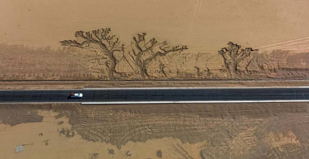 位于國道216沿線的“大地之樹”。邊巴多吉攝