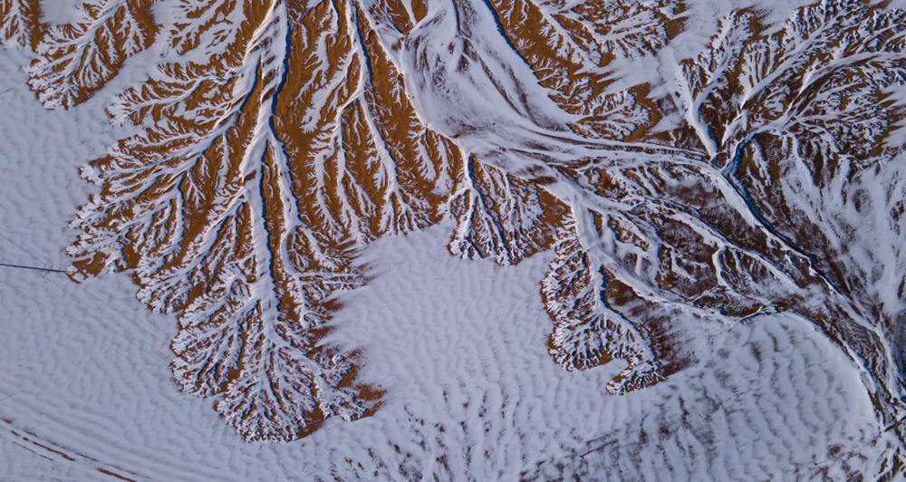 栩栩如生的枝干。邊巴多吉攝