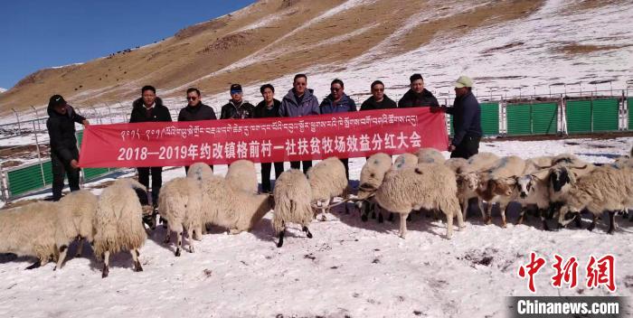 “黃河源頭第一縣”青海曲麻萊:貧困發(fā)生率由36.04%到絕對貧困“清零”