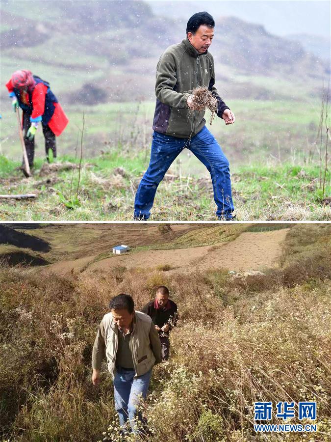 (脫貧攻堅(jiān)·圖片故事)(6)扶貧相冊(cè)——藏族村寨的脫貧“貼心人”