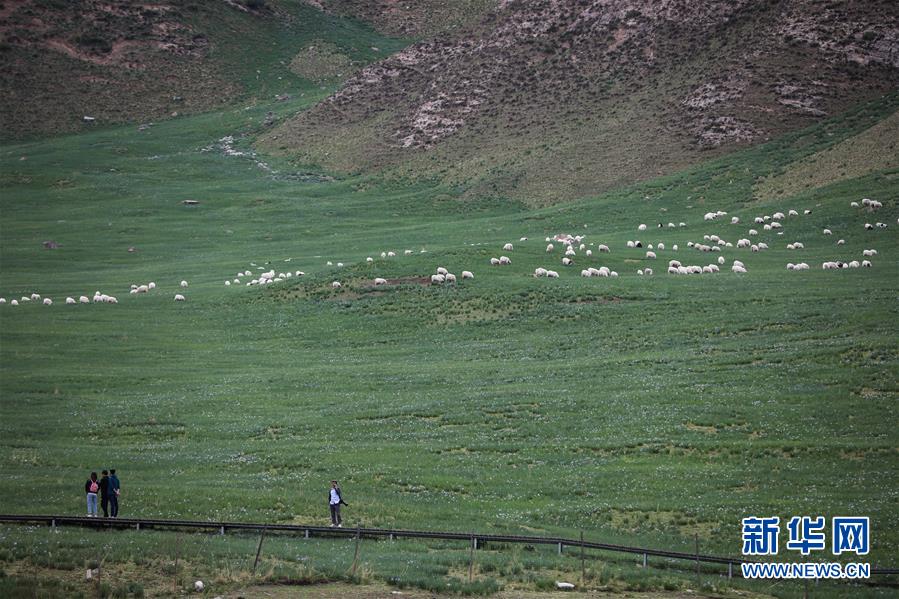 (美麗中國)(3)祁連山下冰溝河 水草豐茂美如畫