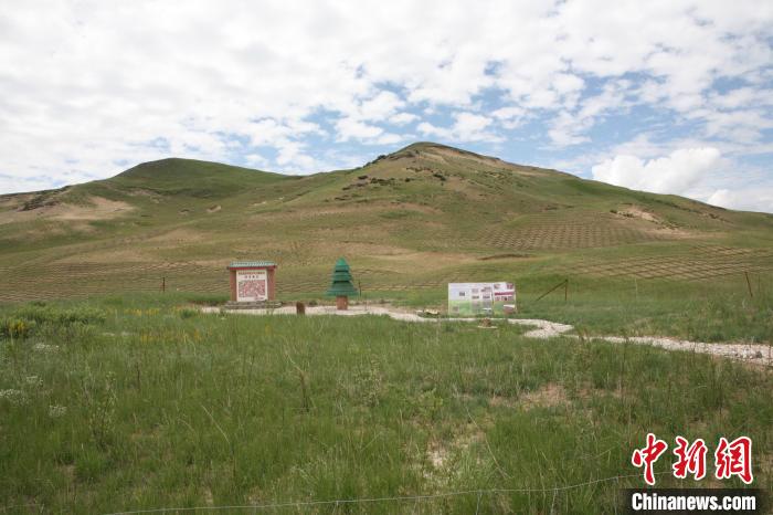 四川省阿壩州若爾蓋縣草原沙化治理后。若爾蓋縣林業(yè)和草原局供圖