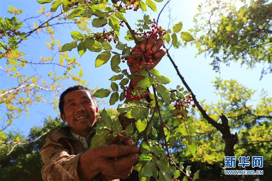 (社會)(2)舟曲泥石流十周年:新生