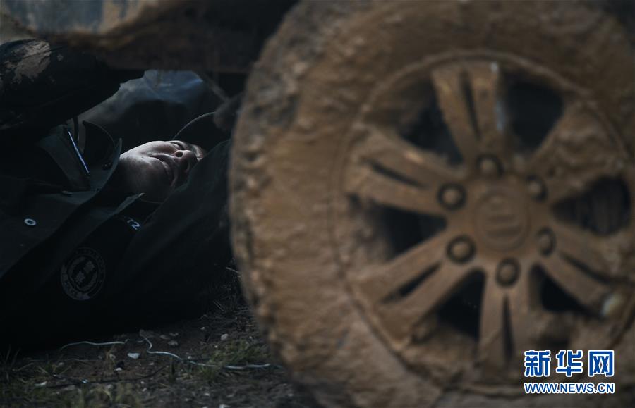 （圖文互動）（8）記者手記：可可西里，“挪”向“藏羚羊大產(chǎn)房”的14個半小時