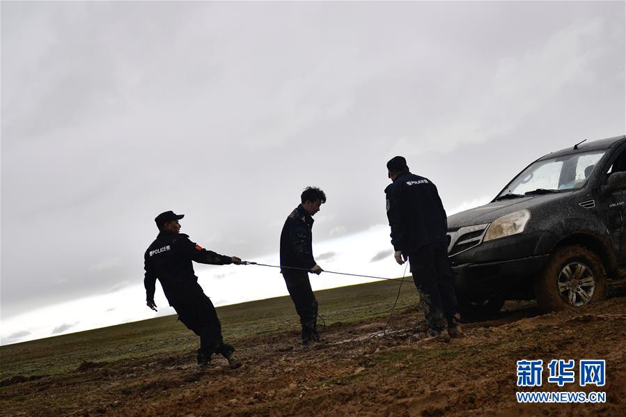 （圖文互動）（10）記者手記：可可西里，“挪”向“藏羚羊大產(chǎn)房”的14個半小時