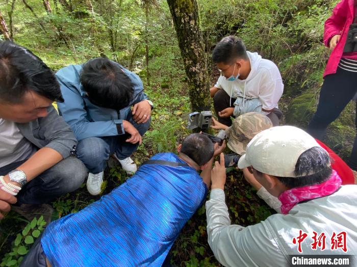 圖為訪客正在查看紅外相機中的拍攝畫面?！±罱瓕?攝