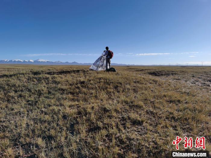 圖為索南達(dá)杰保護(hù)站保護(hù)隊(duì)員在可可西里找到露營的葉某?！∴嚭Ｆ?攝