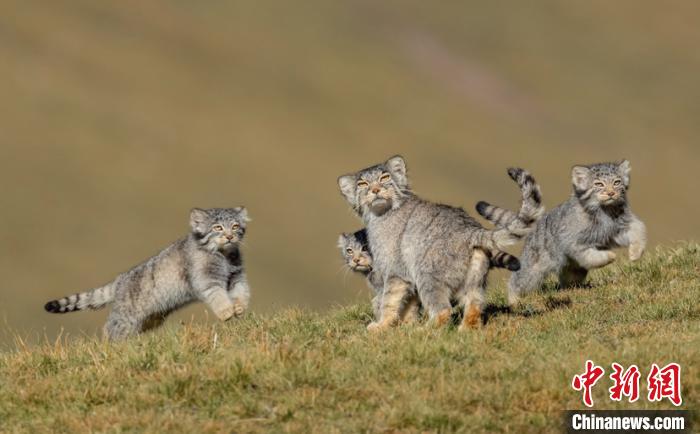 圖為李善元獲獎(jiǎng)作品《當(dāng)媽媽說(shuō)跑步前進(jìn)》。　李善元 攝