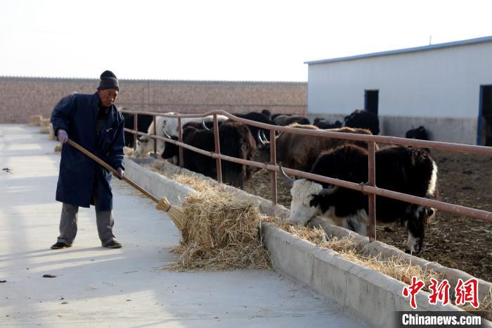 柴達(dá)木盆地蓮湖村：讓致富村民生活“?！逼饋? oldsrc=