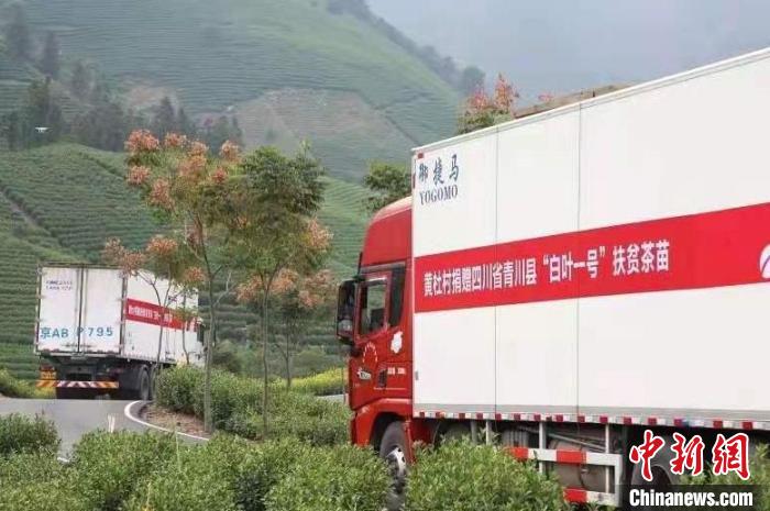 化作“及時雨”滋養(yǎng)“山海情”見證小金縣的蝶變