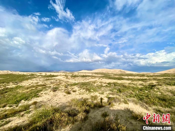 圖為關(guān)停四年后的沙島景區(qū)現(xiàn)狀。　李江寧 攝