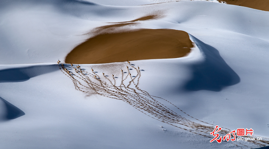 三江源國(guó)家公園正式設(shè)立，這是青海生態(tài)文明建設(shè)的新答卷