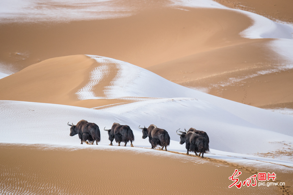 三江源國(guó)家公園正式設(shè)立，這是青海生態(tài)文明建設(shè)的新答卷