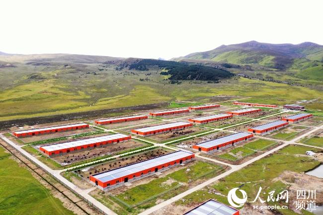 建設(shè)中的理塘縣牦牛產(chǎn)業(yè)園。葉強(qiáng)平攝
