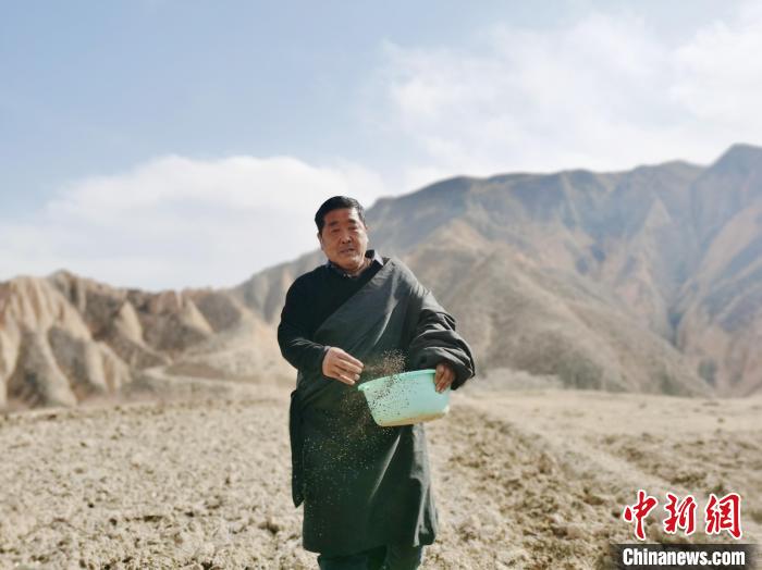 青海高原藏鄉(xiāng)：傳統勞作方式開啟春耕“第一犁”