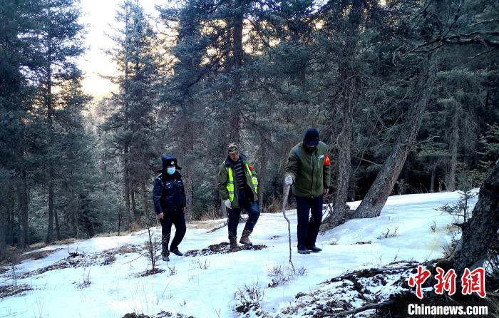 祁連山“守山人”:一輩子就干了“一件事”