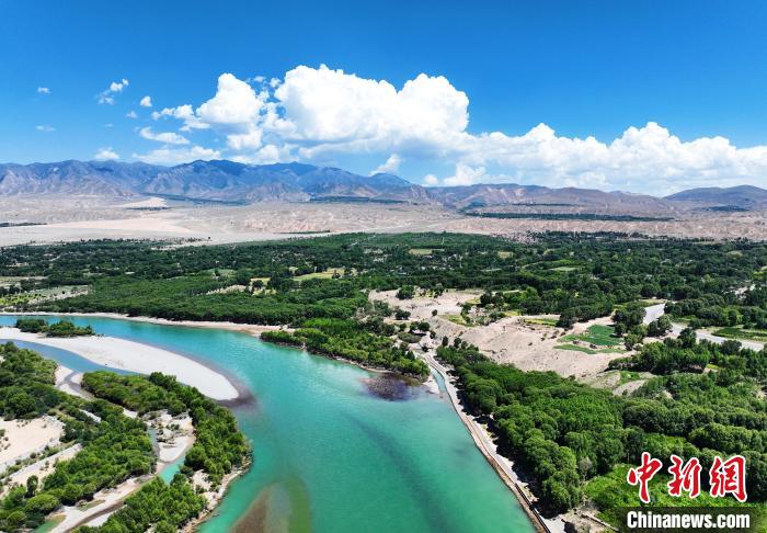 航拍貴德縣黃河岸畔綠意盎然。　馬銘言 攝