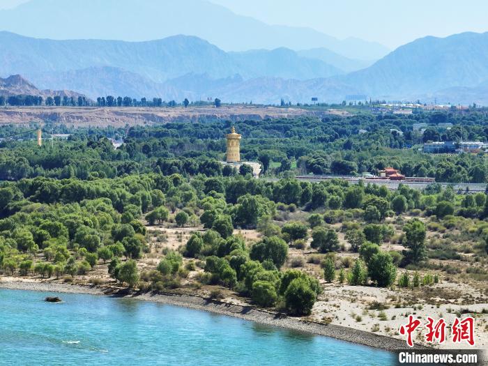 航拍貴德縣黃河岸畔綠意盎然。　馬銘言 攝