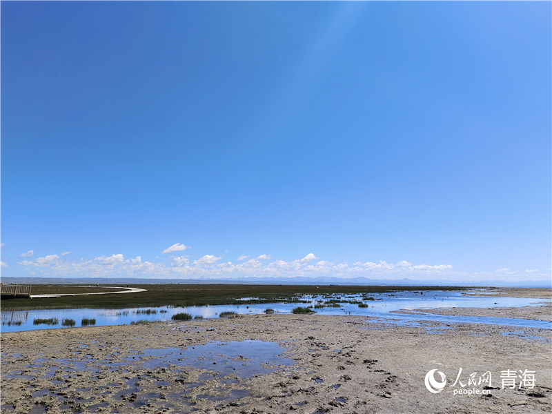   青海湖仙女灣。人民網(wǎng) 張莉萍攝