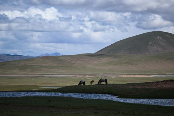 唐古拉山腳下，聽(tīng)牧民講述長(zhǎng)江源生活變遷