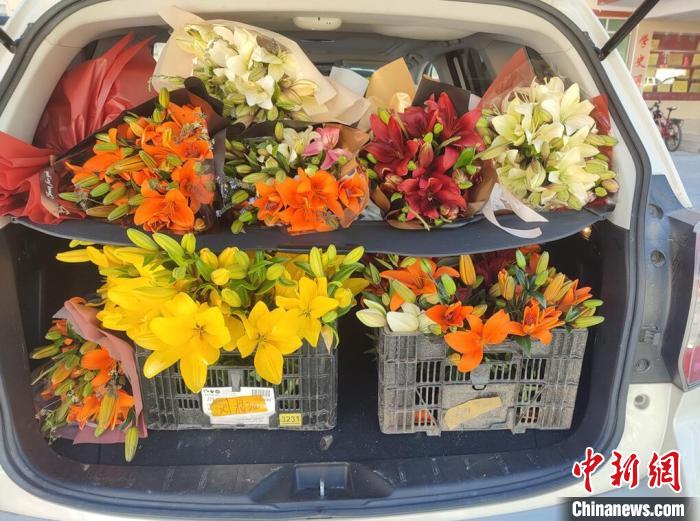 剛剛采摘下來(lái)的百合花?！∪捞量h委宣傳部供圖