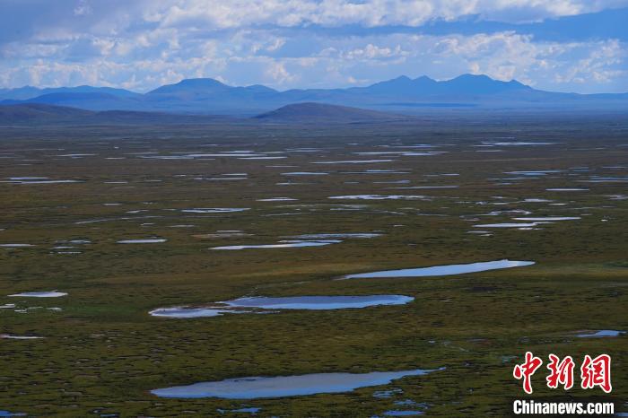 圖為查旦濕地。　馬銘言 攝