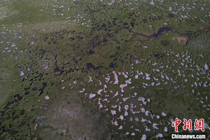 航拍查旦濕地?！●R銘言 攝