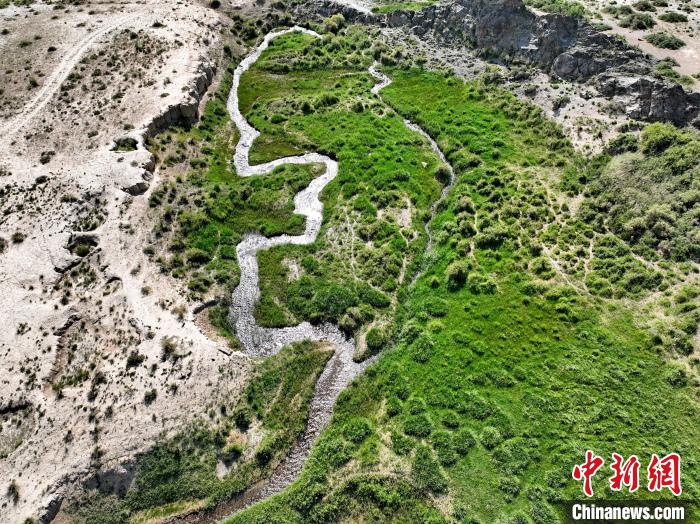 圖為航拍都蘭湖國(guó)家濕地公園綠意盎然?！∑钤鲚?攝