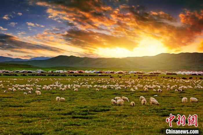 資料圖為青海省玉樹(shù)州稱(chēng)多縣草原風(fēng)光。　郭夏 攝