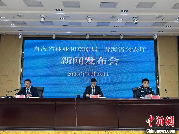 青海去年占用林地、草地準予許可件同比實現(xiàn)“雙減”