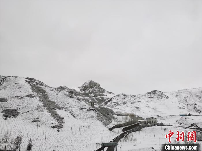 圖為青海省東南部的青沙山區(qū)域銀裝素裹。　張?zhí)砀?攝