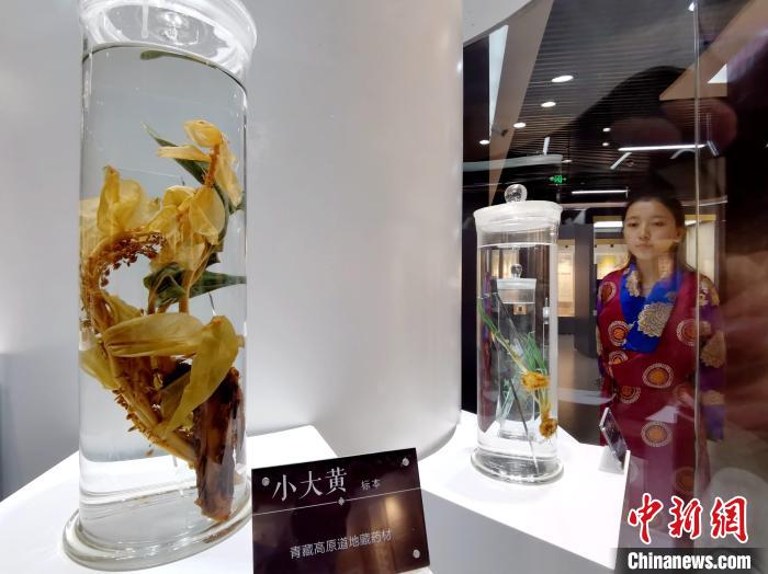 青海中藏醫(yī)藥發(fā)展提速：建設(shè)一批重點(diǎn)?？茖W(xué)科，推廣一批適宜技術(shù)