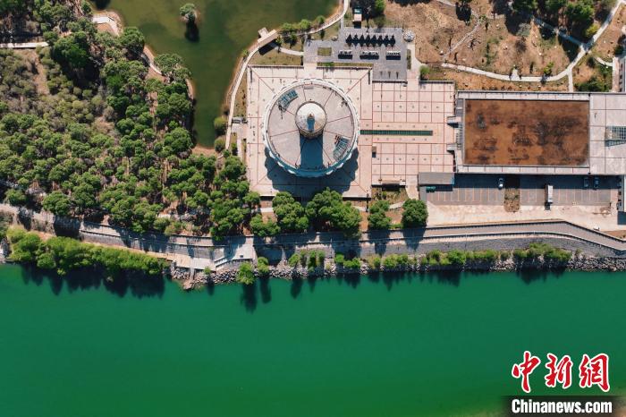 航拍青海貴德黃河岸畔綠意濃濃?！≮w凜松 攝