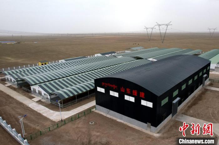 圖為航拍生態(tài)畜牧業(yè)集中規(guī)模化養(yǎng)殖基地?！〔讨绢?攝