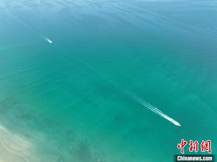 圖為航拍仲夏時節(jié)，青海湖湖水碧波蕩漾?！∑钤鲚?攝