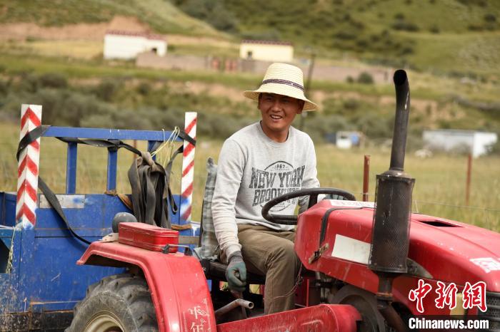 青海囊謙：喜迎秋收，又是一年“豐”景