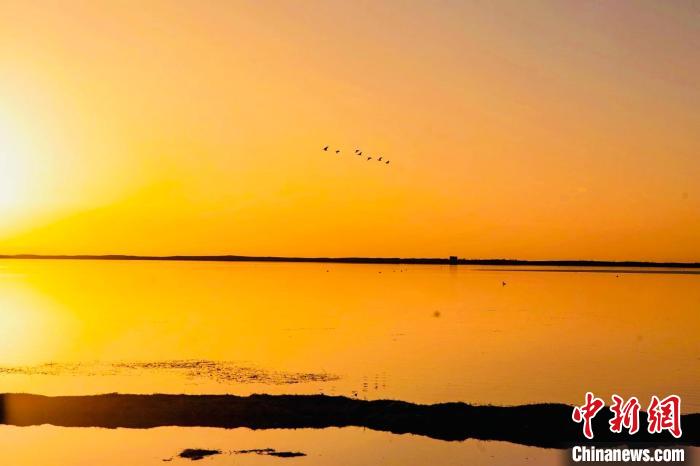 高原“藍(lán)寶石”:晚春?jiǎn)拘训淖砣水嬀? oldsrc=