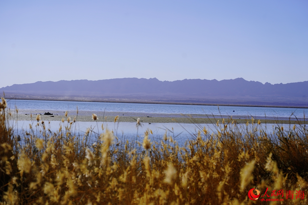 可魯克湖秋色如畫。人民網(wǎng) 陳明菊攝