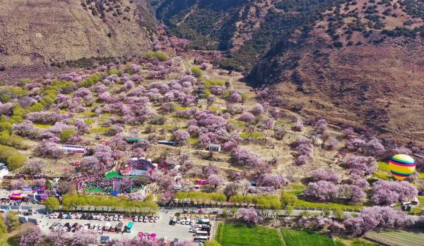 世外桃源！一組圖告訴你，西藏林芝桃花能有多美