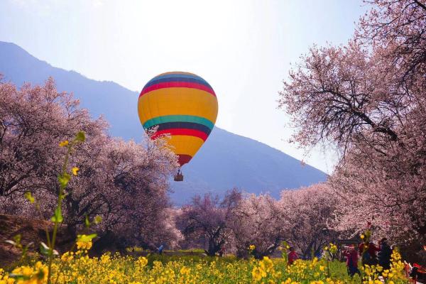 世外桃源！一組圖告訴你，西藏林芝桃花能有多美