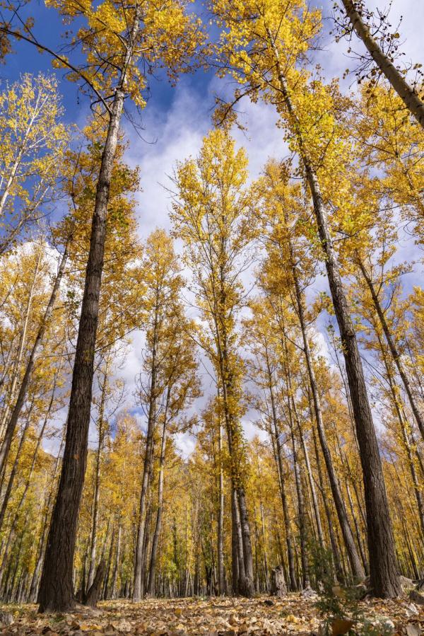 跟我，踏上最美“景觀大道”