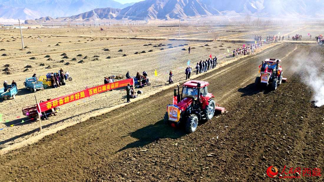 山南市扎囊縣扎其鄉(xiāng)孟卡榮村迎來春耕第一犁。人民網(wǎng) 次仁羅布攝