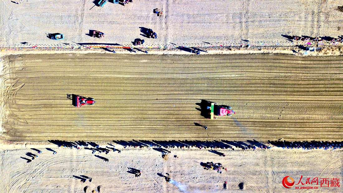 山南市扎囊縣扎其鄉(xiāng)孟卡榮村迎來春耕第一犁。人民網(wǎng) 次仁羅布攝