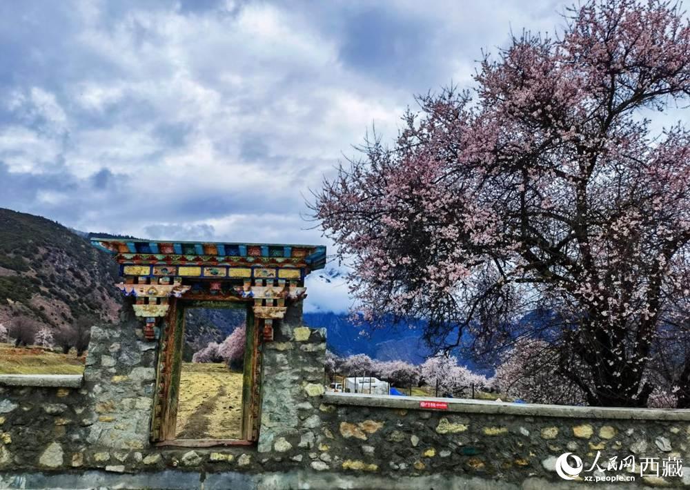桃花下的藏式民居。人民網(wǎng) 李海霞攝