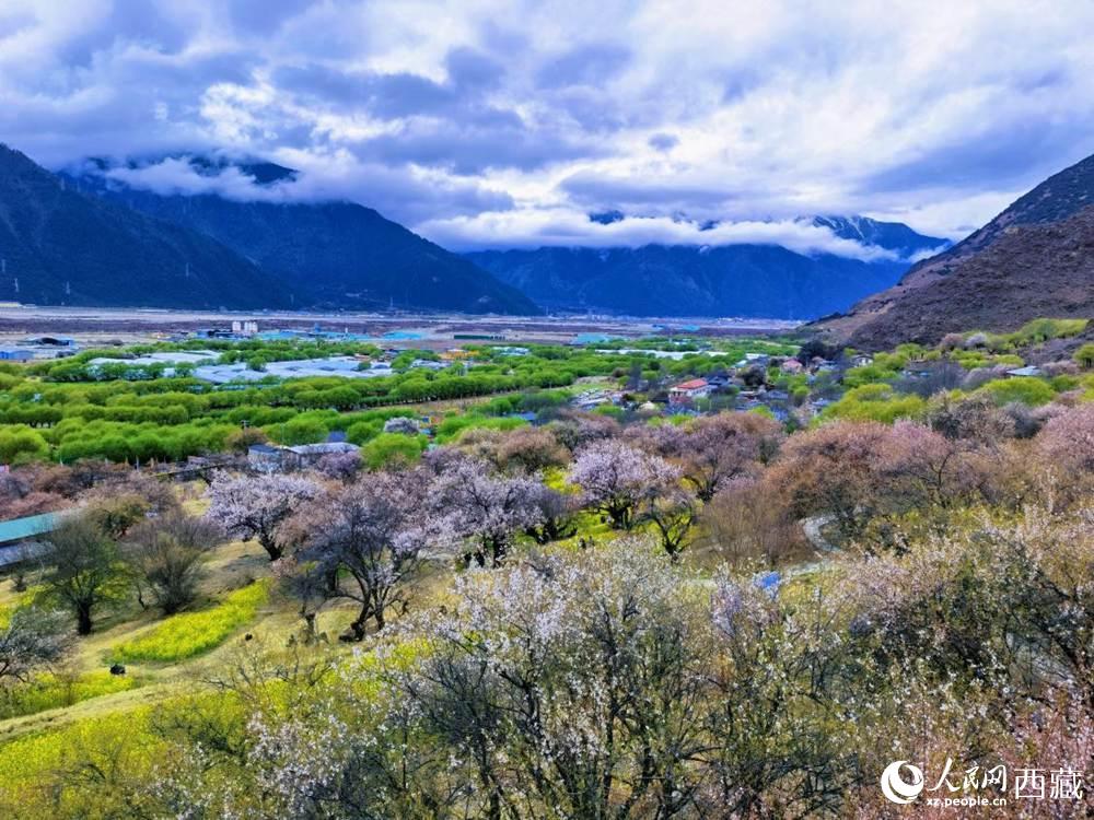 桃花從中的“童話小鎮(zhèn)”。人民網(wǎng) 李海霞攝