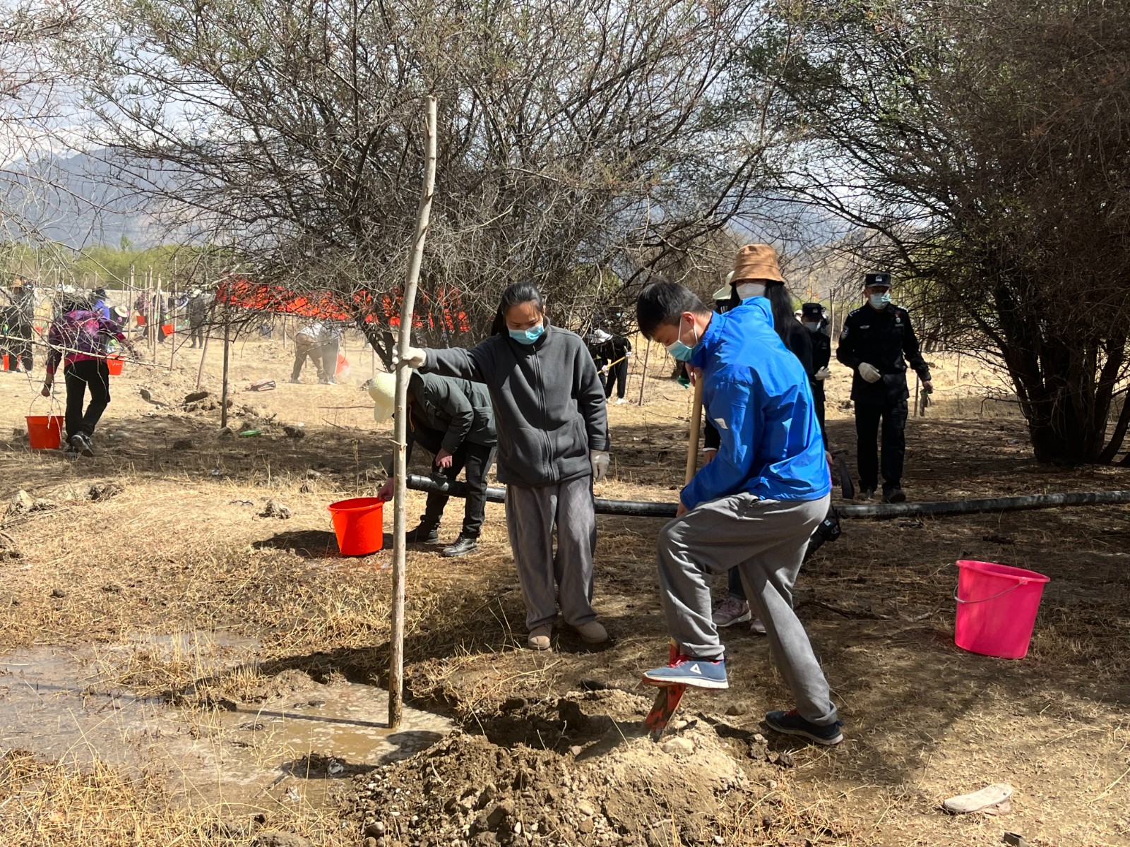 植樹現(xiàn)場，大家分工明確，配合默契(2000565)-20220420090303.jpg