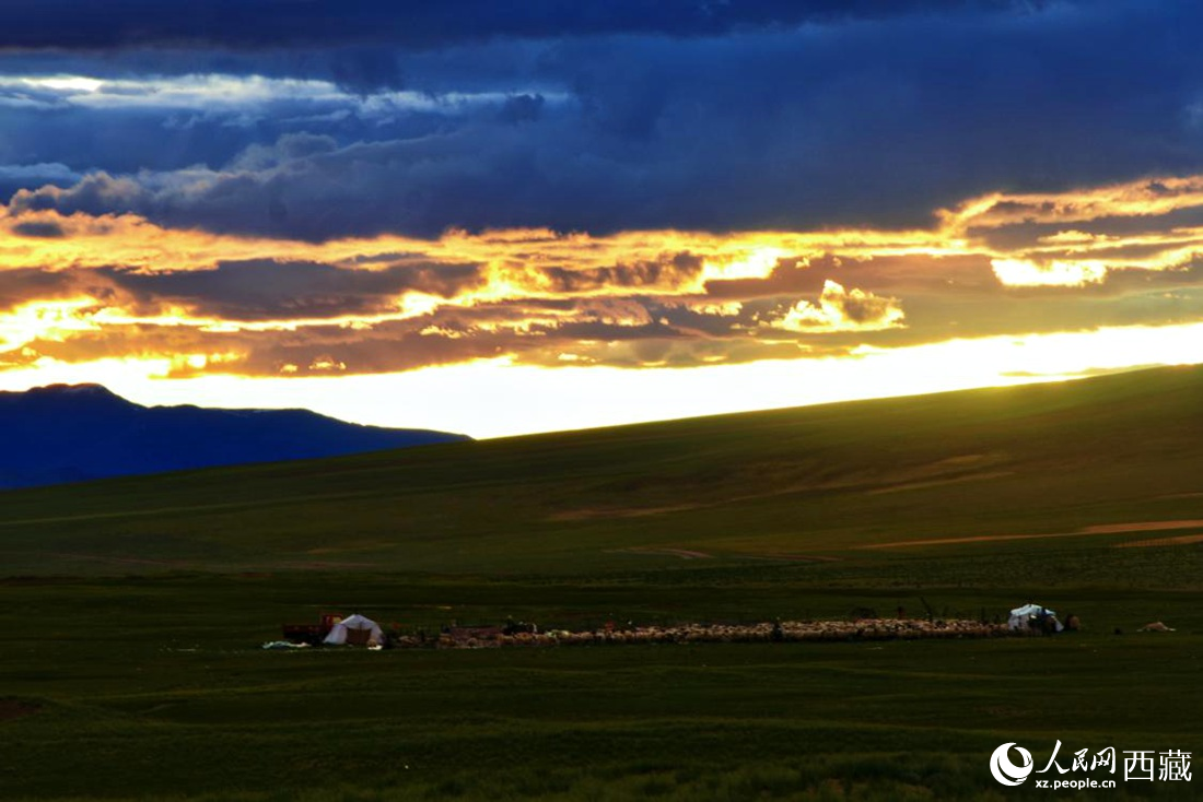 黃昏下的帳篷，牧民過著幸福生活。 人民網(wǎng) 李海霞攝