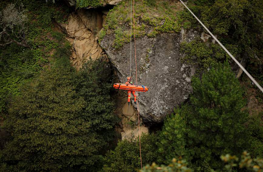 叢林中的橙色身影。西繞拉翁攝